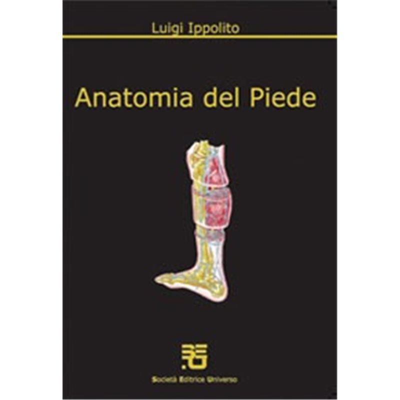 Anatomia del Piede